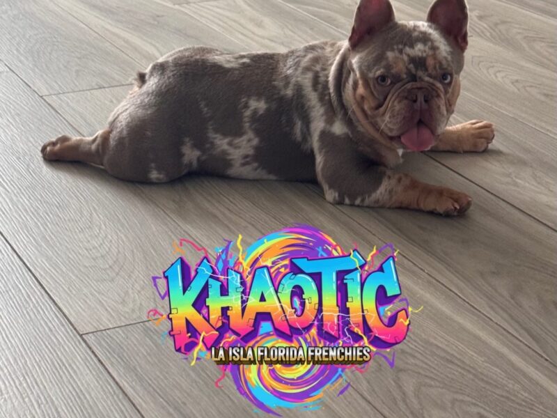 Khaotic