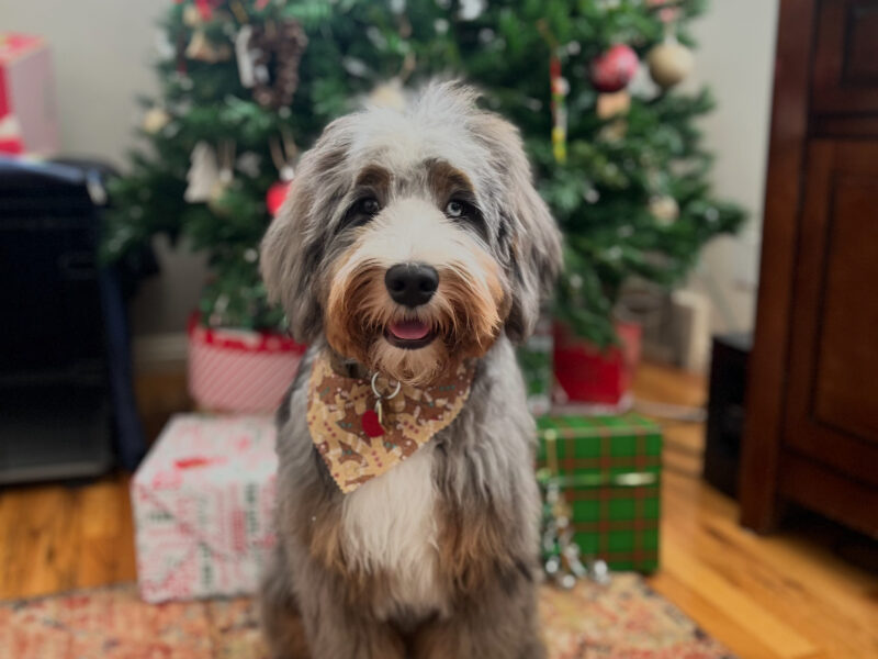 Winston