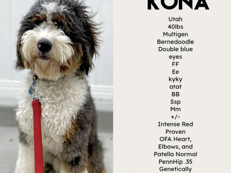 Kona