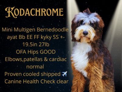 Kare's Kodachrome