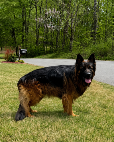 Kanyon Kilroy