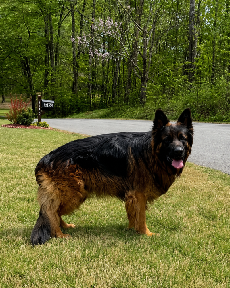 Kanyon Kilroy