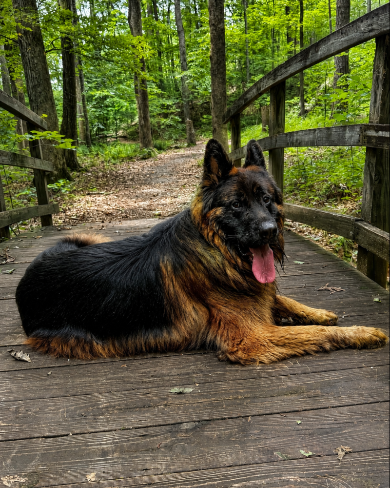 Kanyon Kilroy