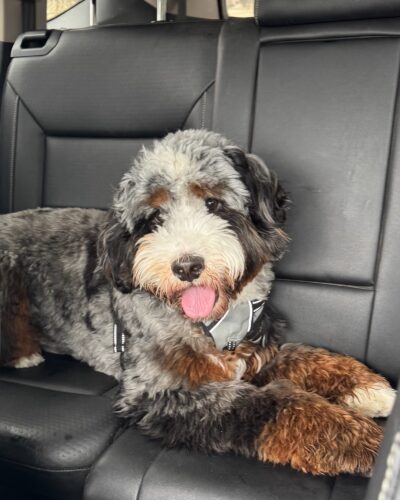 Murphy