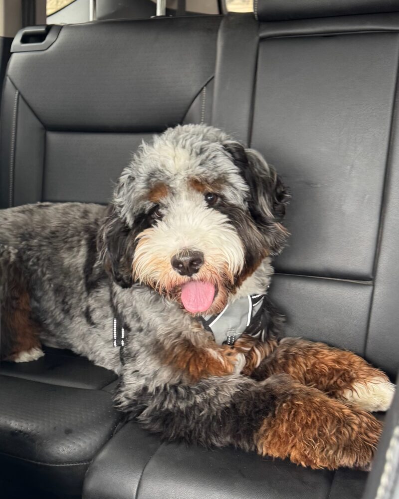 Murphy