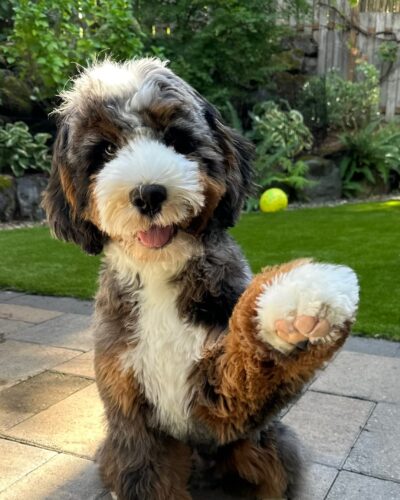 Murphy