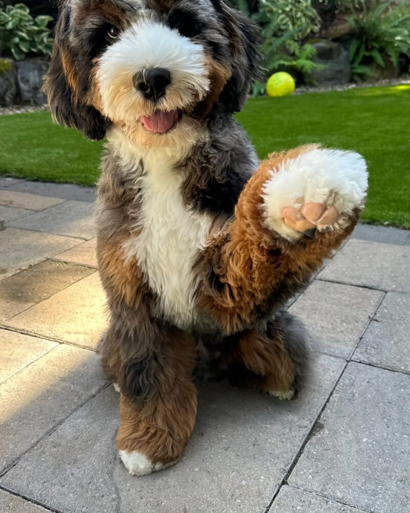 Murphy