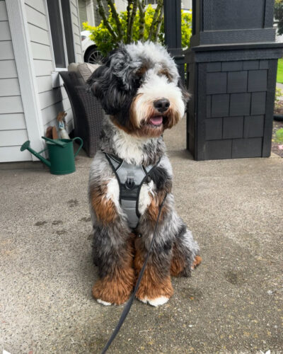 Murphy