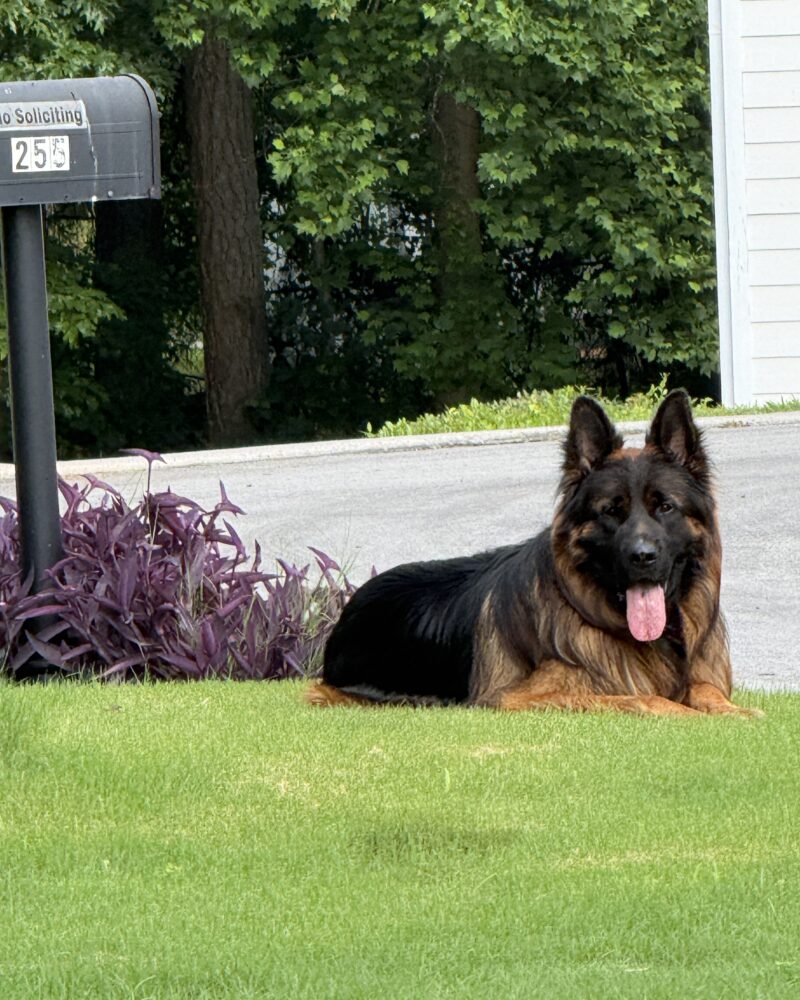 Kanyon Kilroy