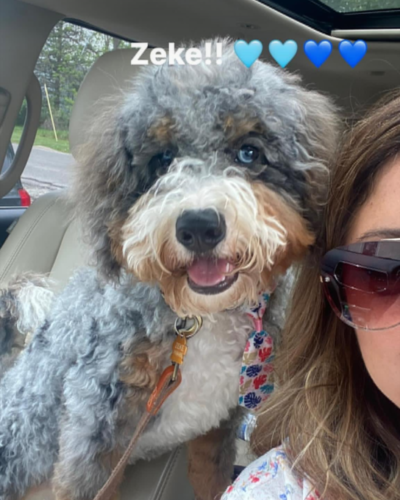 Zeke