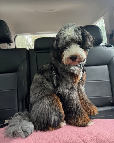 Murphy