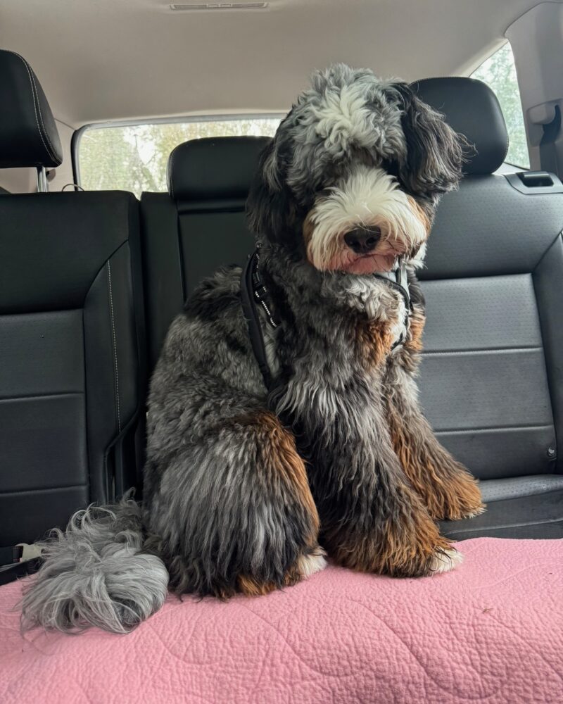 Murphy