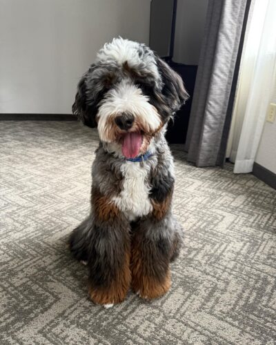 Murphy