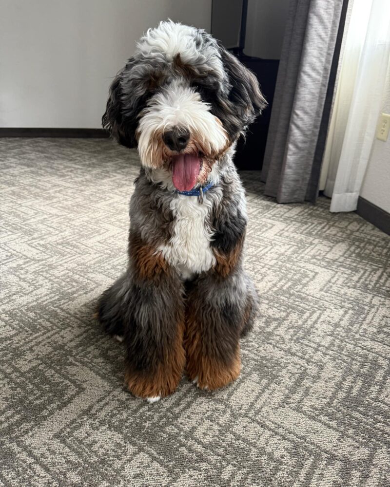 Murphy