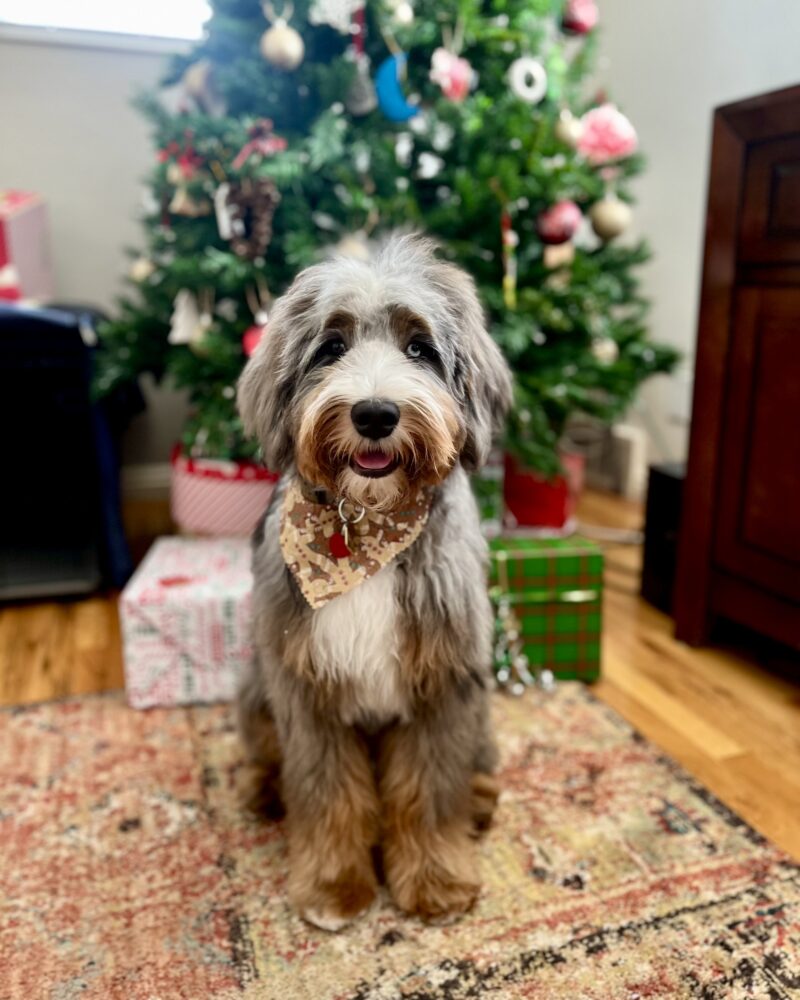 Winston