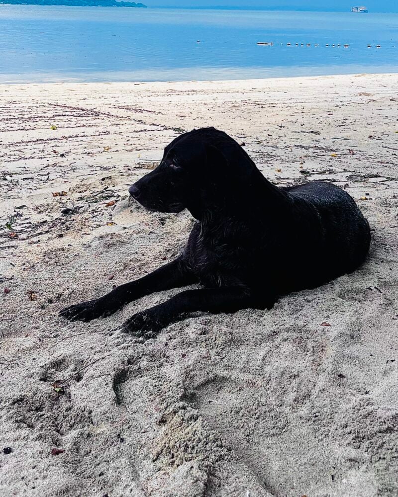 Coco